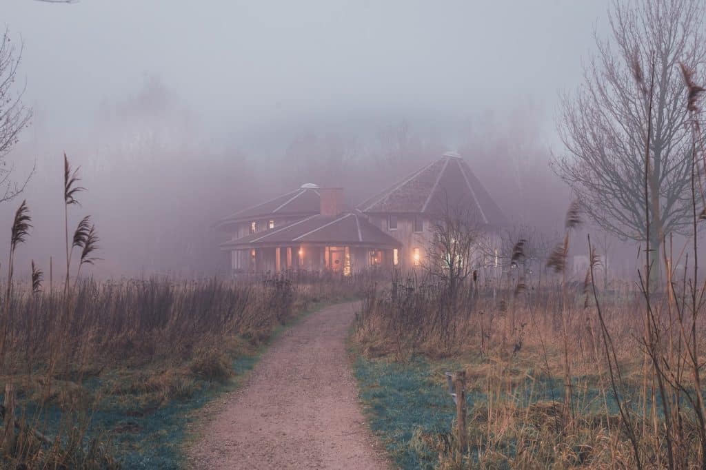 biodiversiteit op je bord
